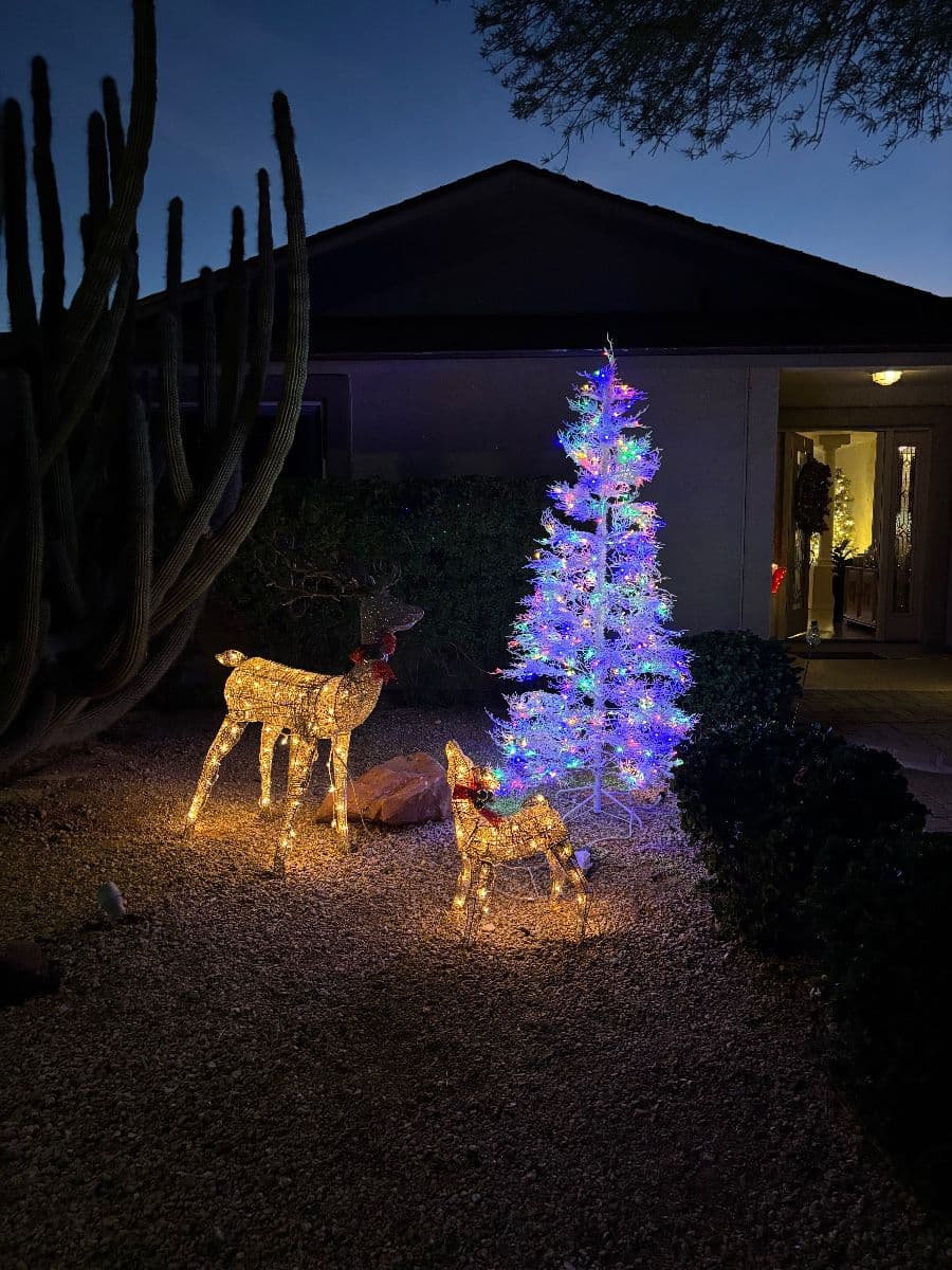 "Spooky, Santa & Sparkle" Join Forces Just For You. Don't Miss This Event! photo 10