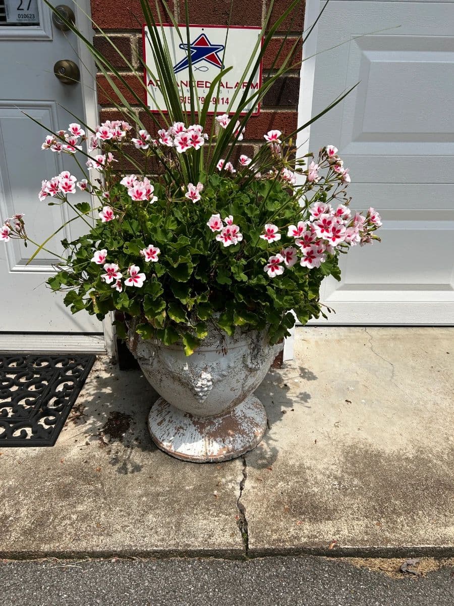 Grasons of Nashville - Collector's Home - Crystal, Art, Furniture & Hidden Treasures! photo 8