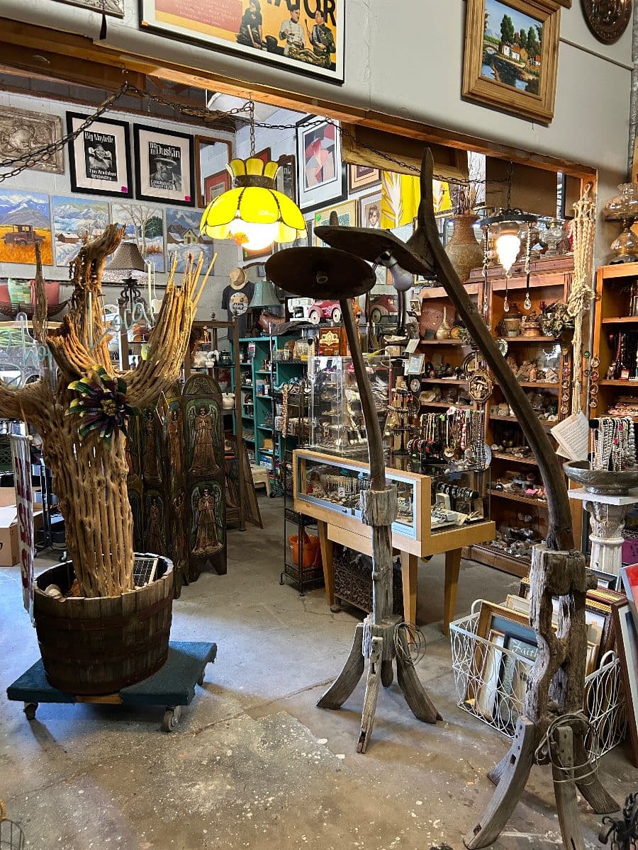 Slippery Slope Emporium 3 Day Shark Week Sale BIGGER THE BITE, BIGGER THE SAVINGS. photo 2