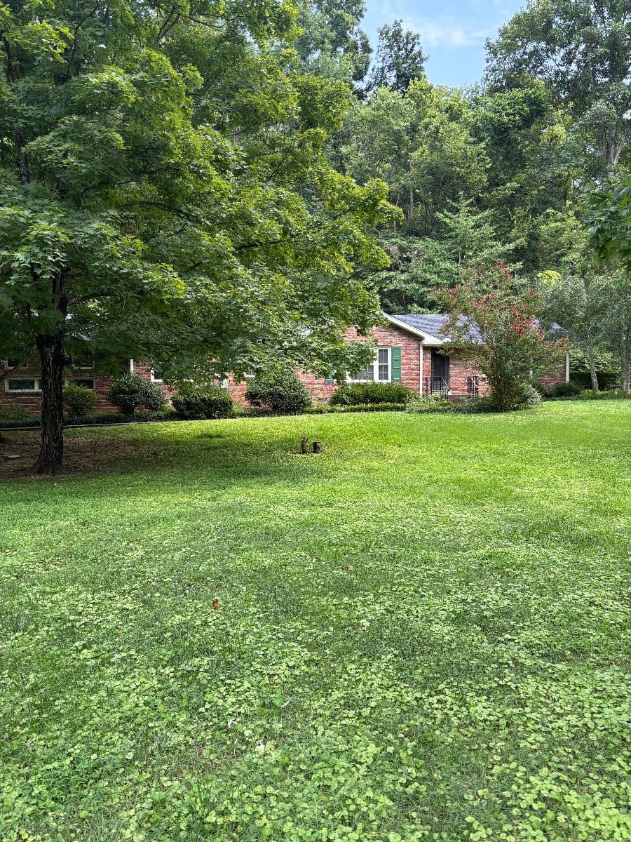 Timeless Treasures in West Meade Area Estate Sale! | July 31st–August 2nd photo 1