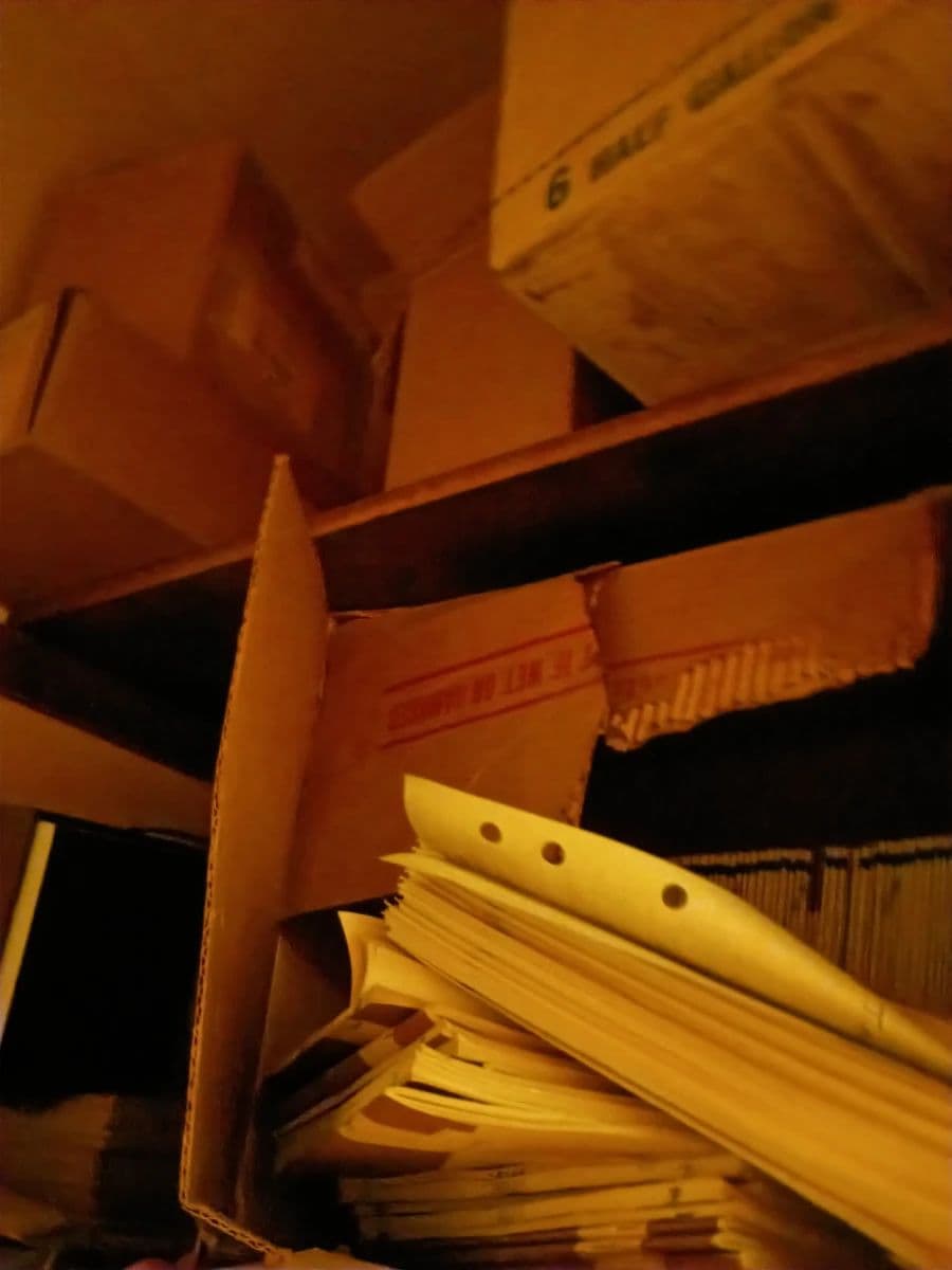 CHICAGO 2 FLAT PICKER'S SALE photo 11