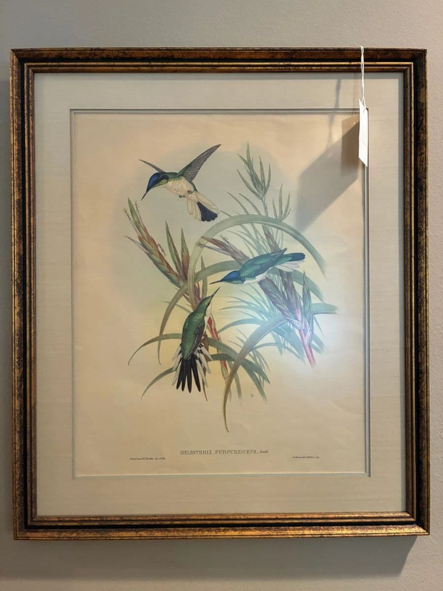 Blue Moon Estate Sale in Northwest Hills photo 10