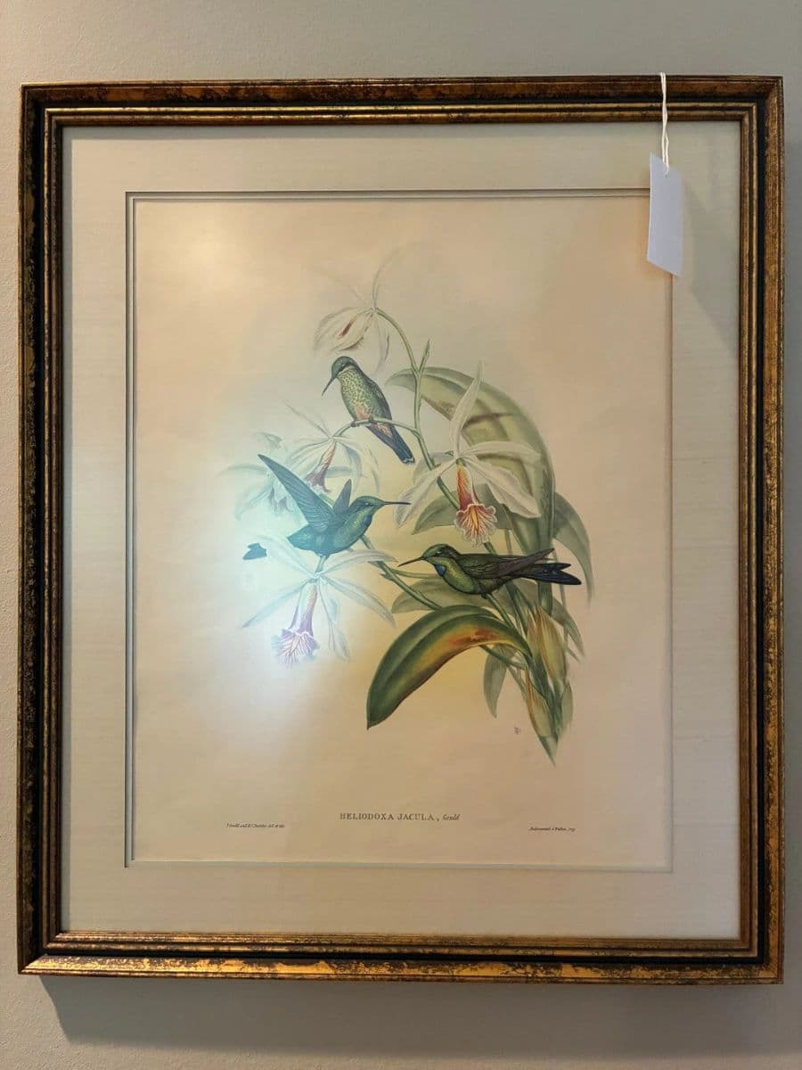 Blue Moon Estate Sale in Northwest Hills photo 9