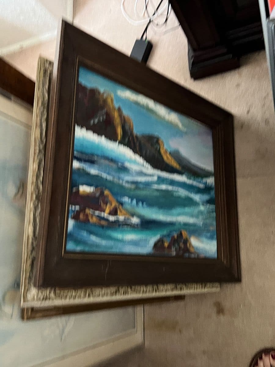 Blue Waters Mission Hills pickers and wonderful vintage! photo 4