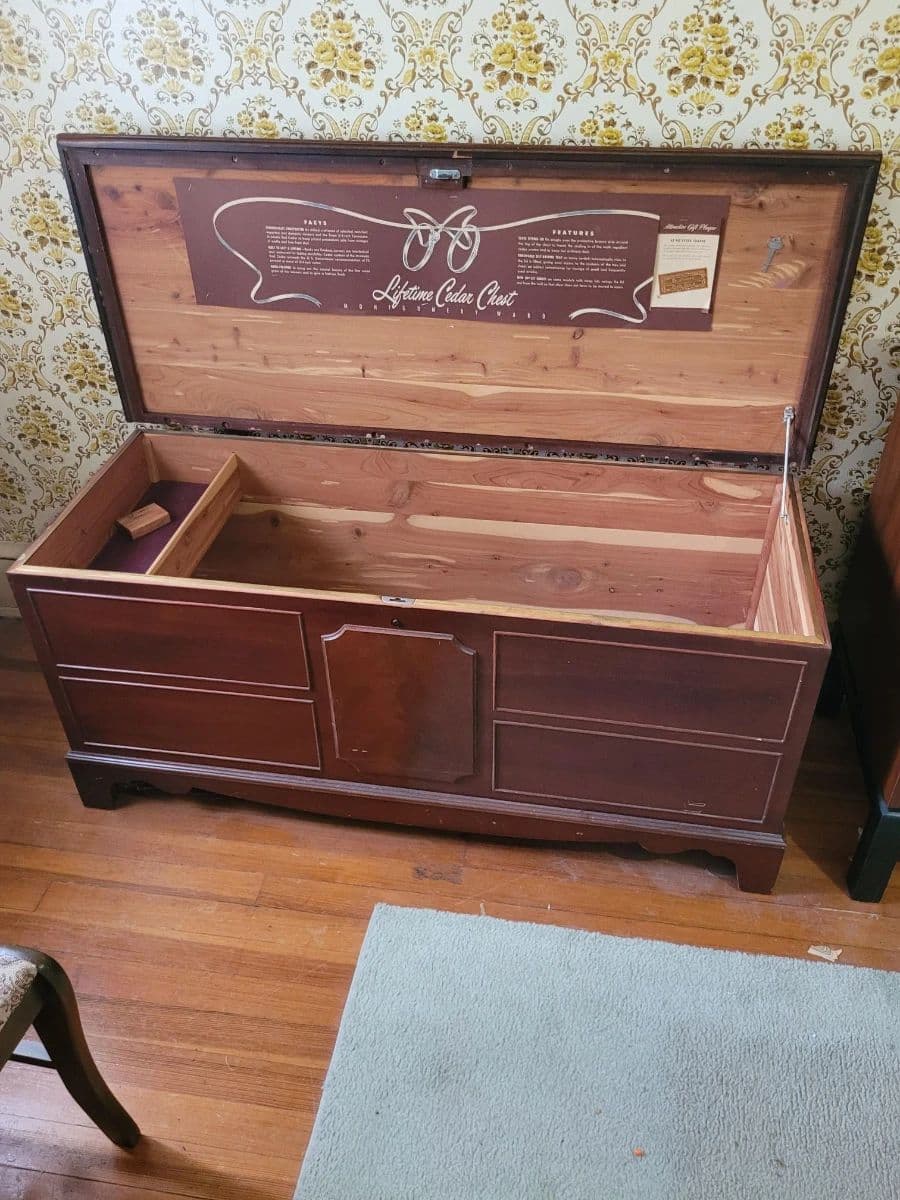 True Treasures, Fantastic Finds! photo 10