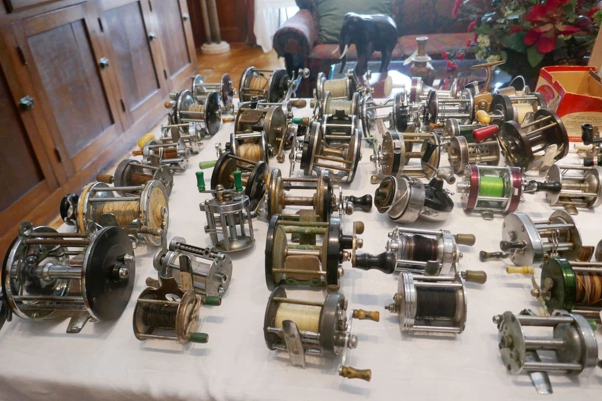 FUN Memorial Area Estate Sale Fossils, Fishing, High End Electronics and MUCH MORE! photo 12