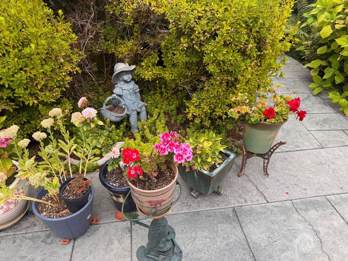 50% OFF SUNDAY!! Unique Finds in Kent photo 2