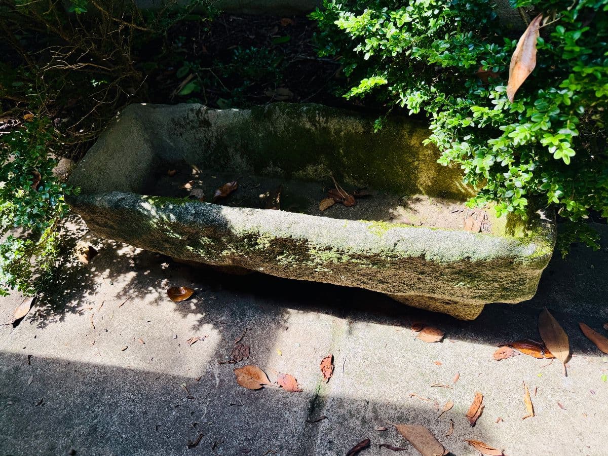 Myers Park Estate Sale By Cardinal Lane photo 5