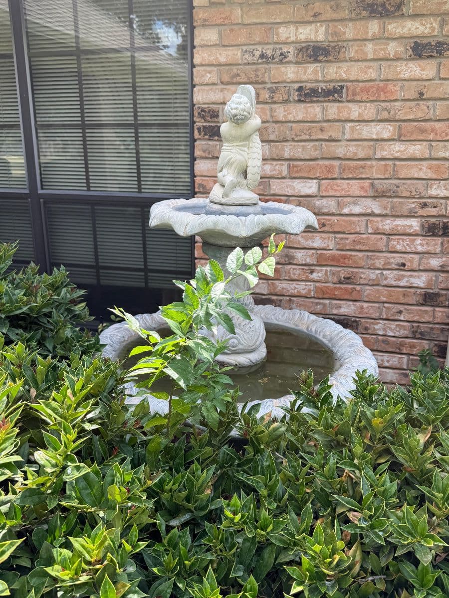 WELCOME HOME ESTATE SALE, DALLAS, TX photo 4