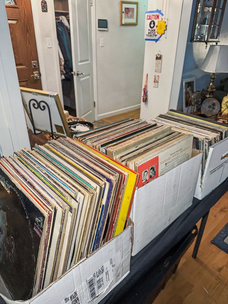 Land park Estate sale- Packed house photo 9