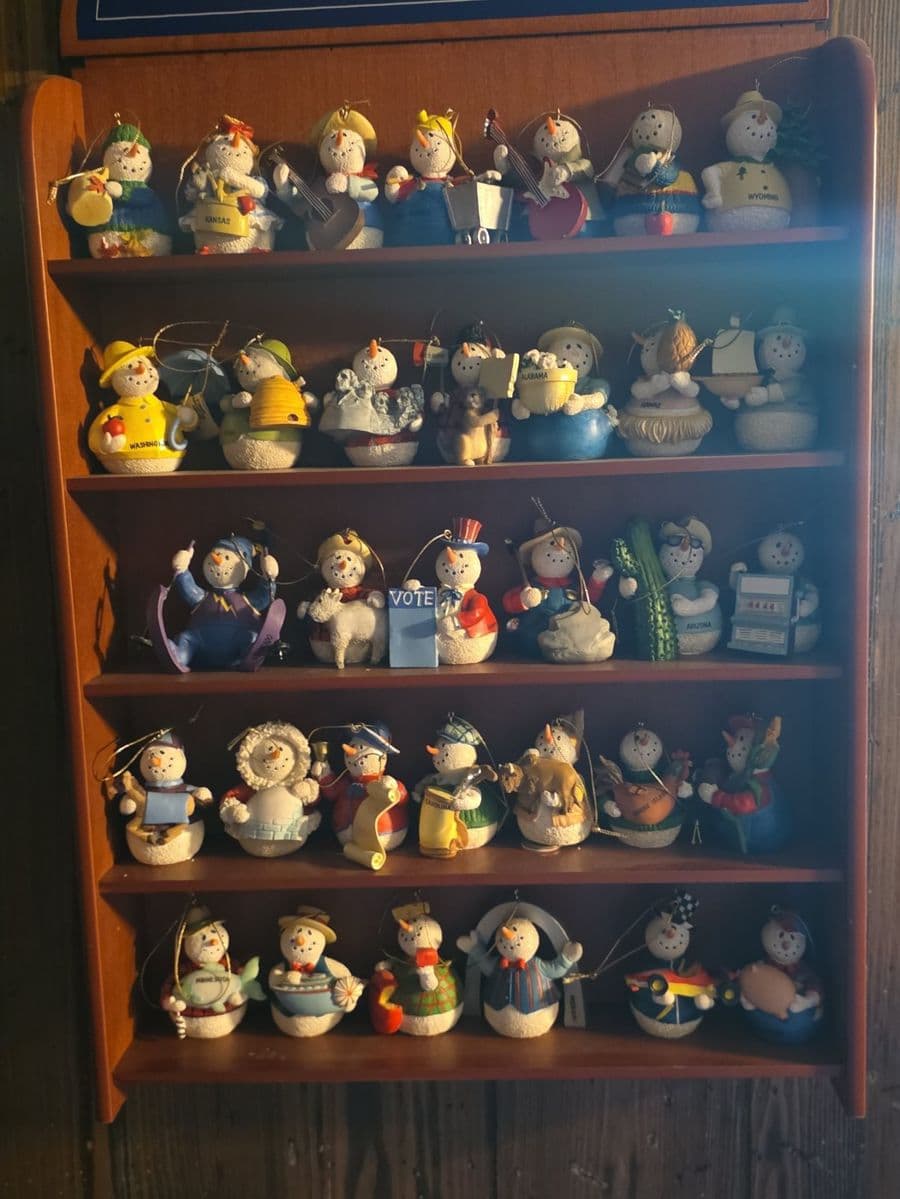 Memories in Maryville Blue Moon Estate Sale photo 11