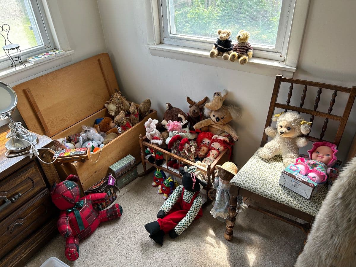 One day, Estate Sale in Sauganash photo 5