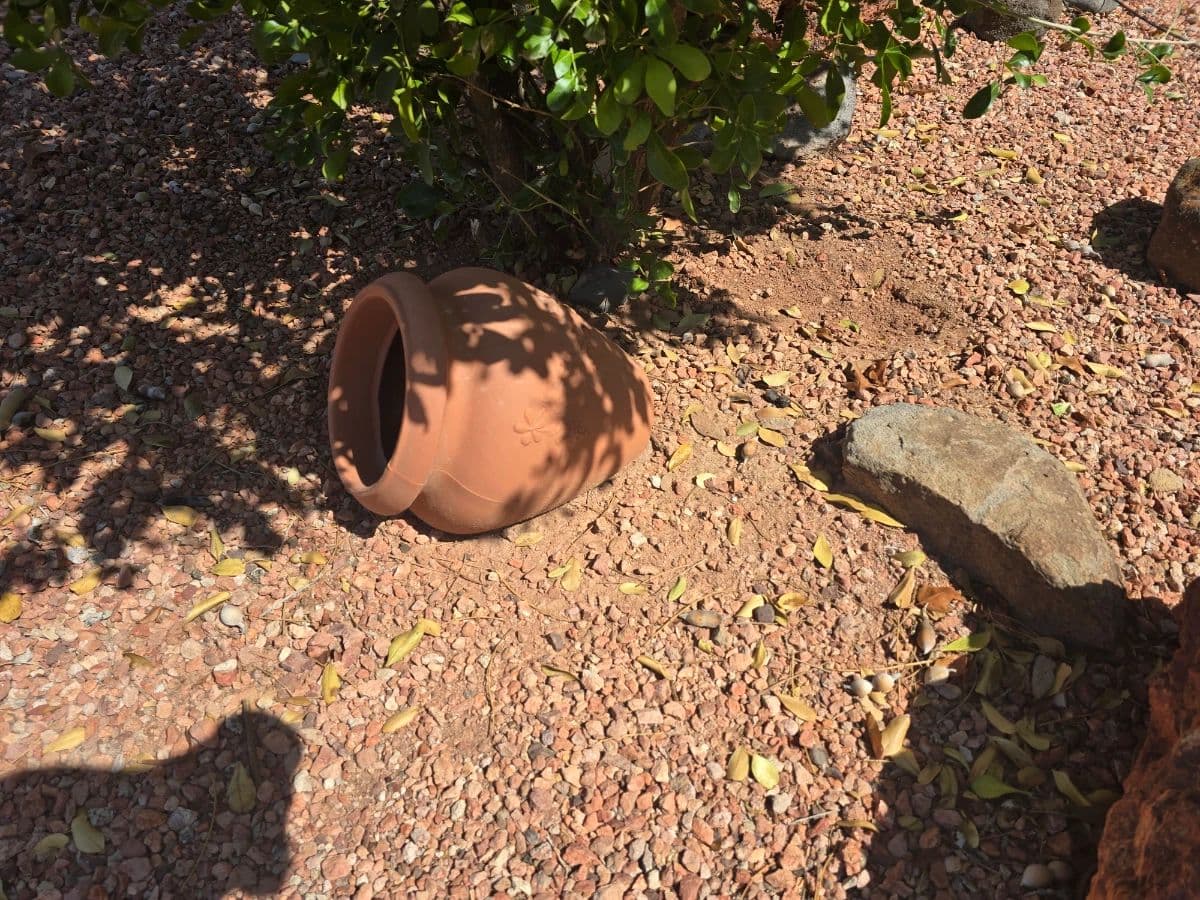 Blue Leaf Auctions - Ahwatukee photo 11