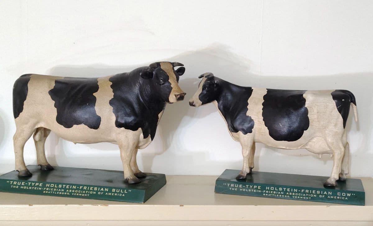 TEASER PHOTOS !!! of HISTORIC RALEIGH FARM SALE with hordes of treasure. photo 12