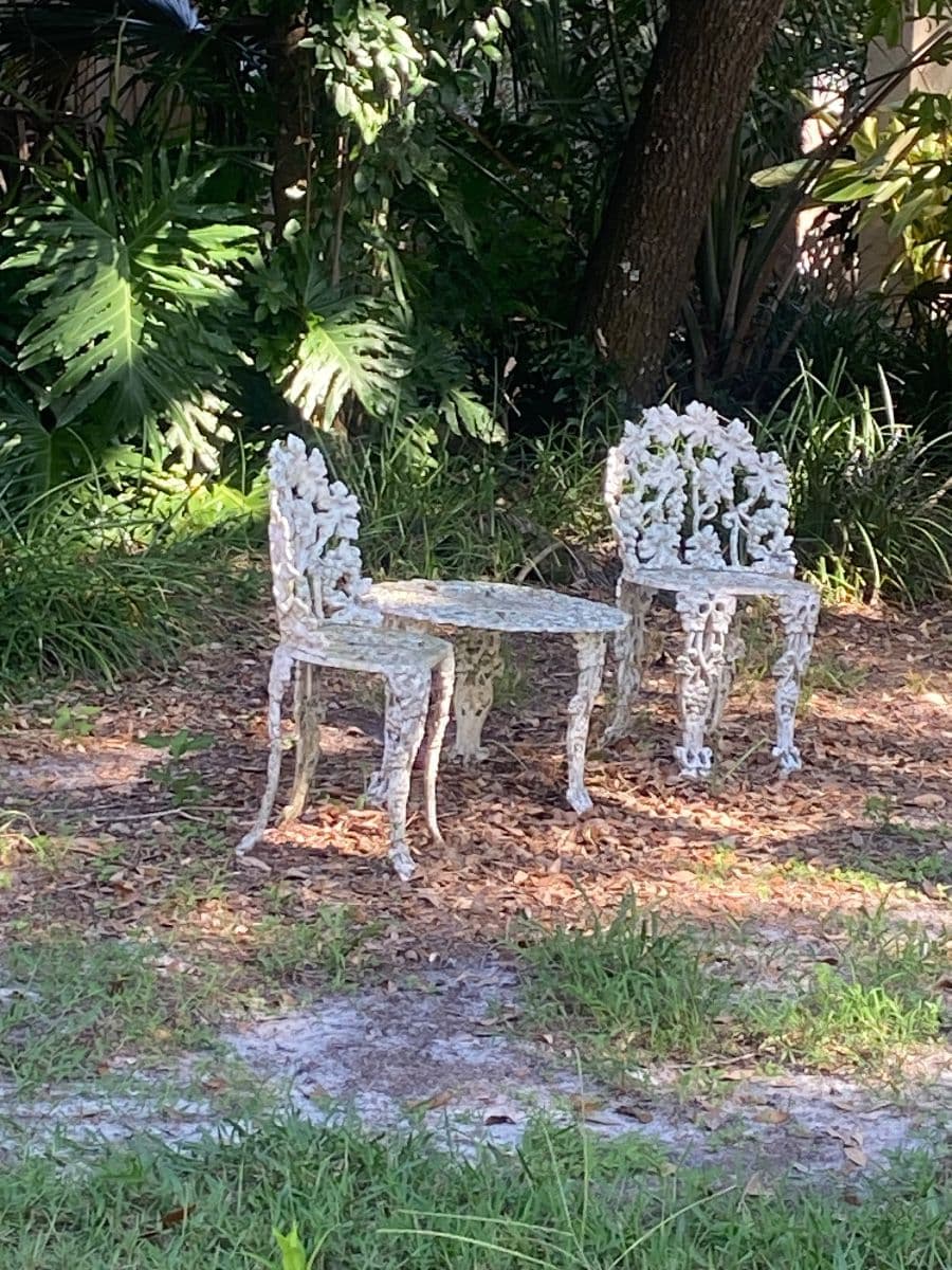 Temple Terrace Estate Sale photo 3
