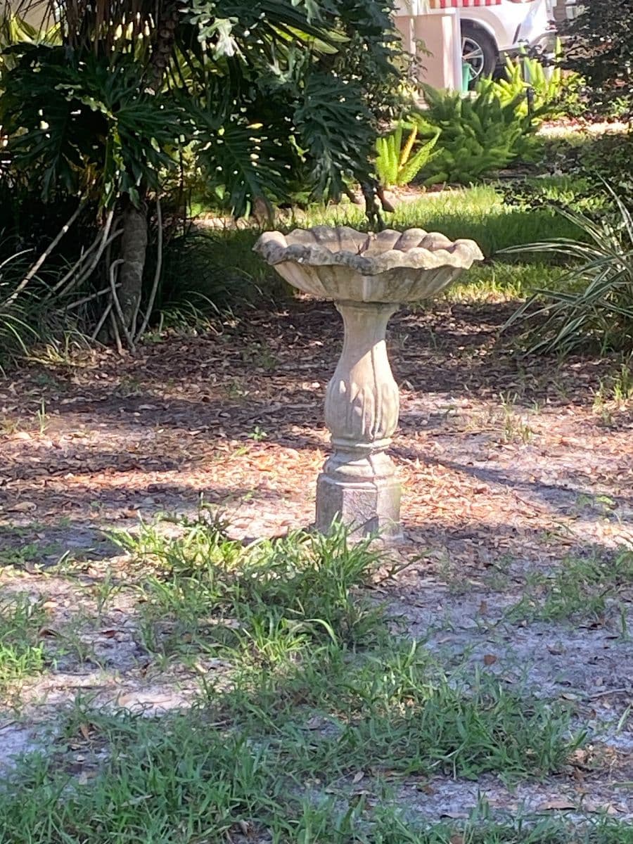 Temple Terrace Estate Sale photo 4