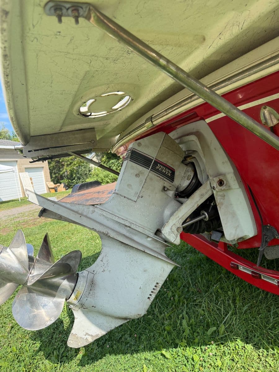 LiVecchi Estate Sales photo 5