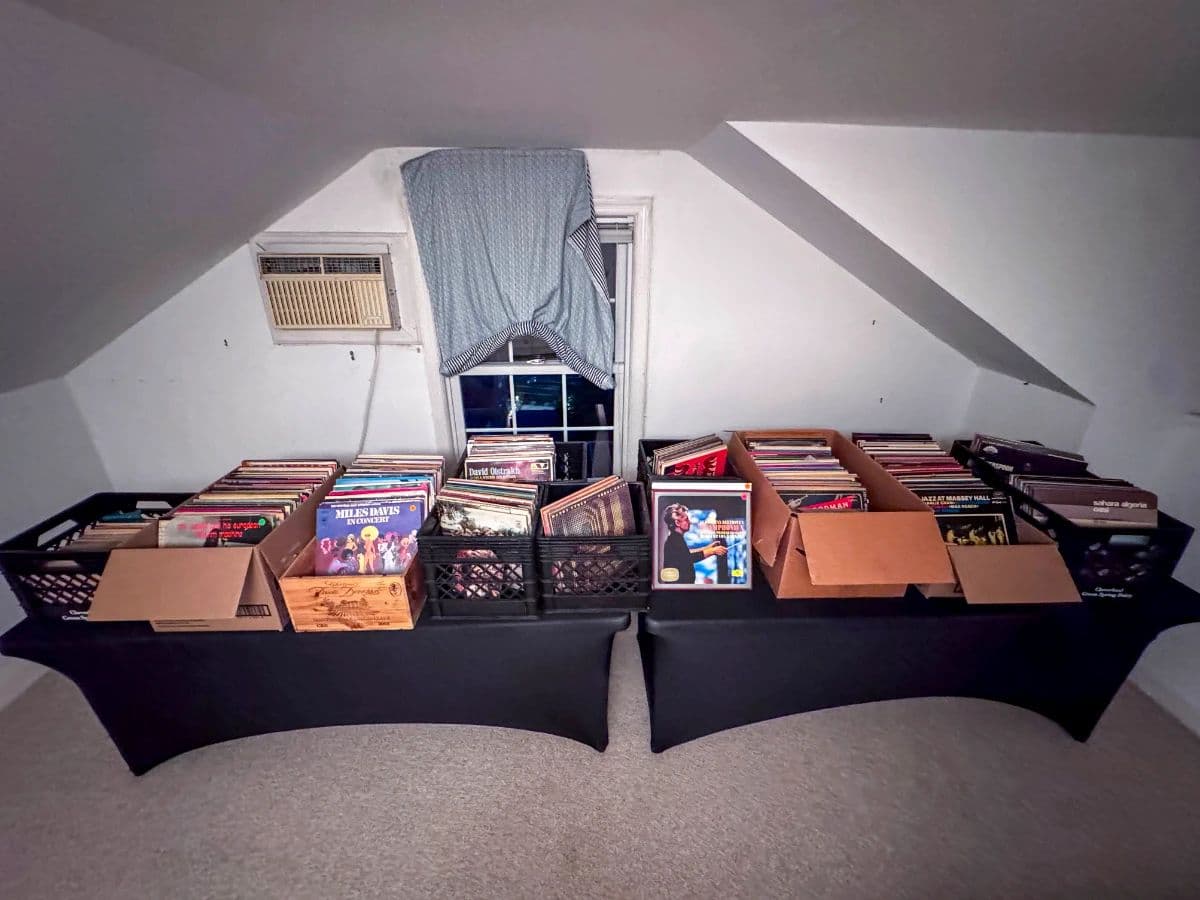 Palisades Italian Downsizing: 700+ Vinyl Records, 3,000 CDs, Murano Glass, Art & Designer Clothes photo 10
