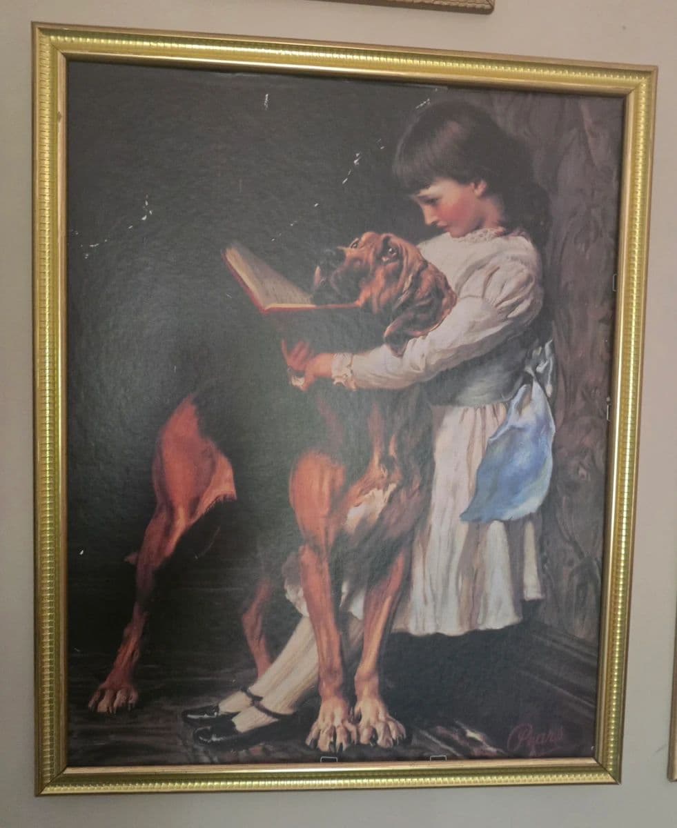 Definace , MO Estate Sale photo 11