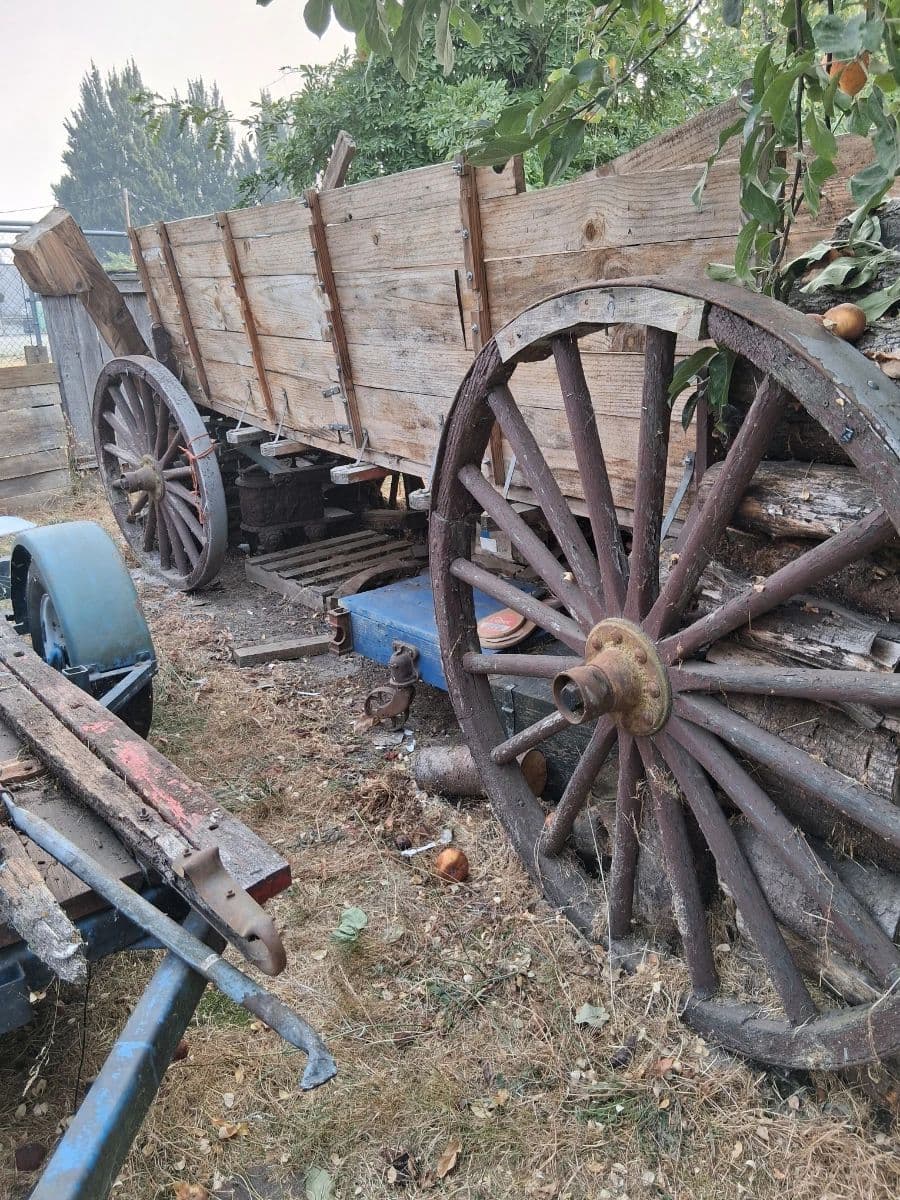 Rare, jaw dropping, awe inspiring, unique, eclectic wonderland super Estate Sale photo 5