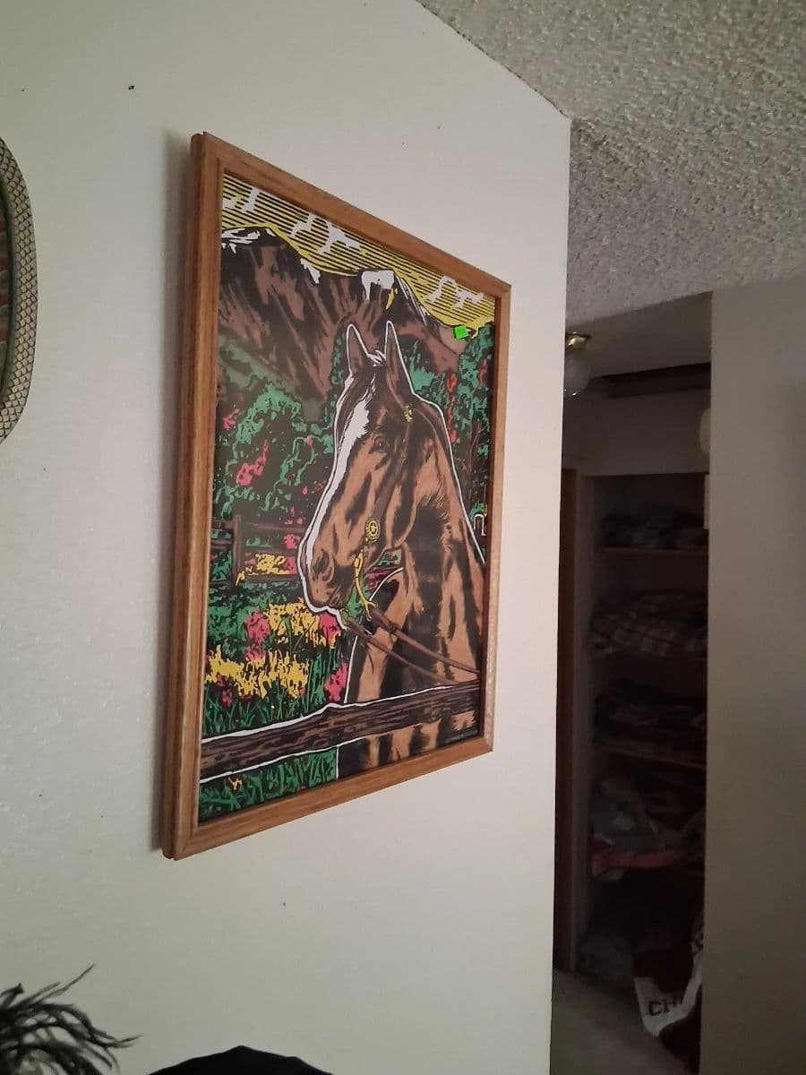 Rare, jaw dropping, awe inspiring, unique, eclectic wonderland super Estate Sale photo 11
