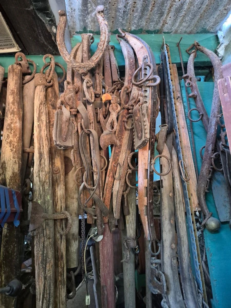 Rare, jaw dropping, awe inspiring, unique, eclectic wonderland super Estate Sale photo 6