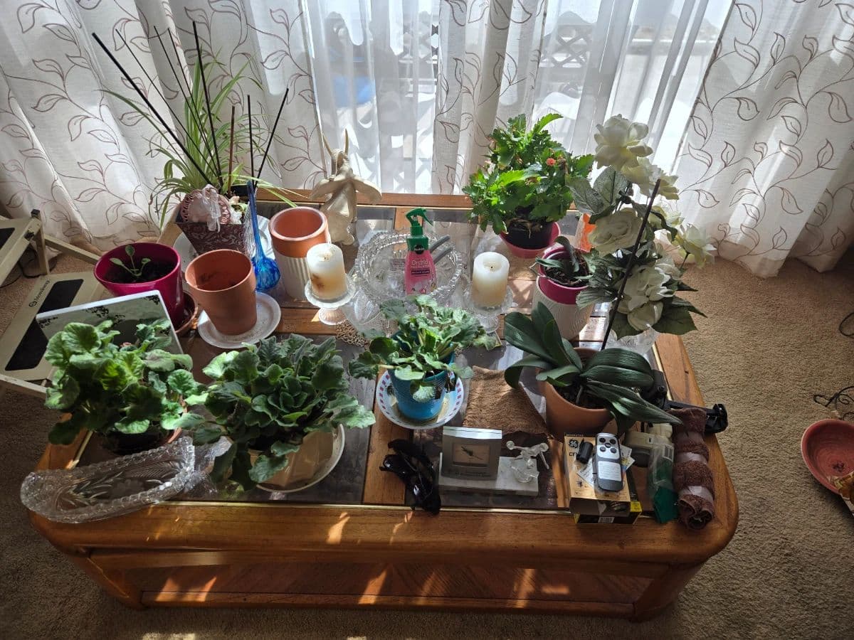 BARCODE 35 ESTATE SALES!! SEAL BEACH !!! 2 DAY SALE photo 9