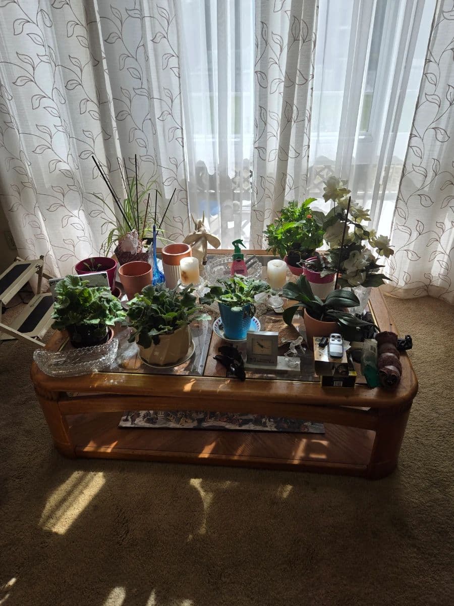 BARCODE 35 ESTATE SALES!! SEAL BEACH !!! 2 DAY SALE photo 8