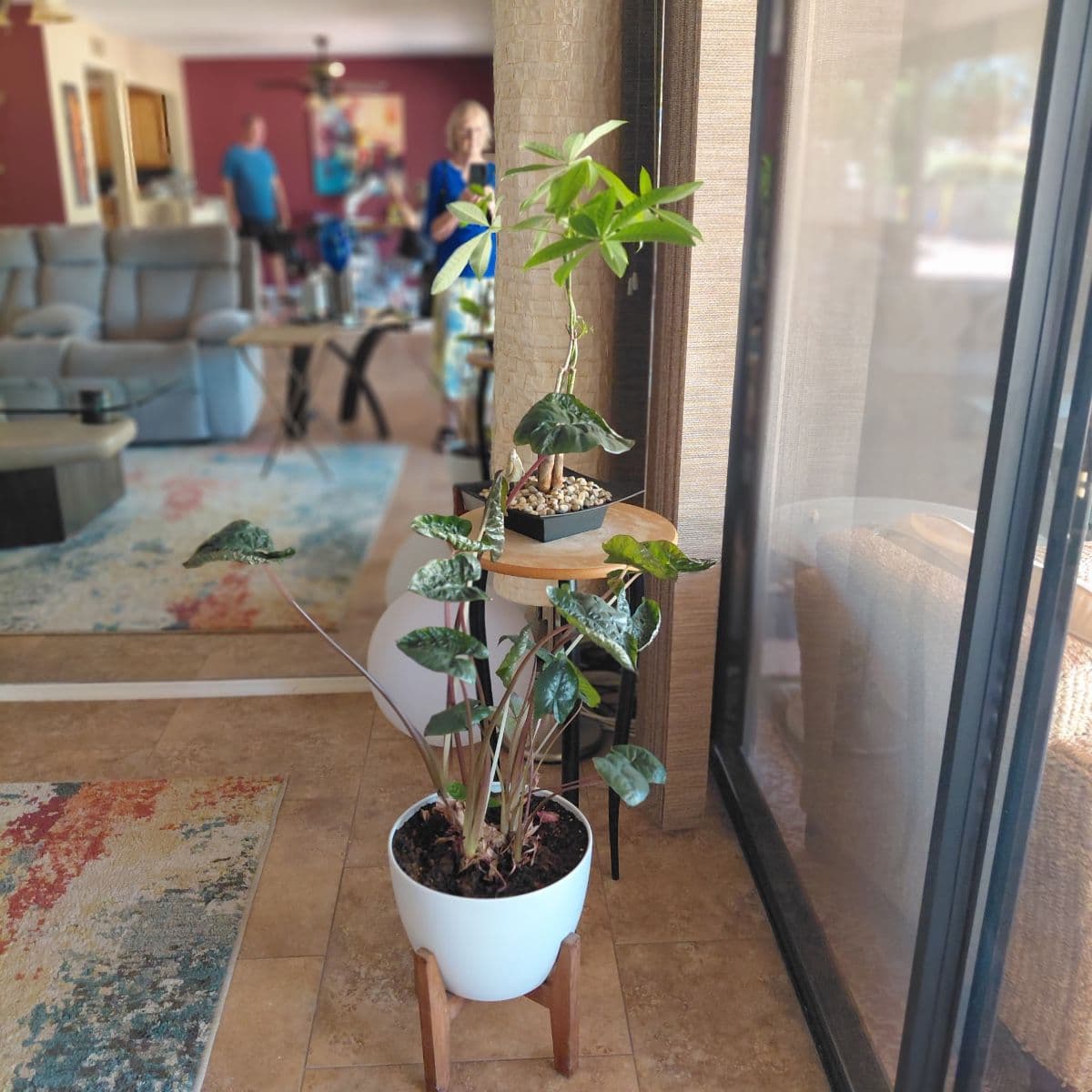 Sun Lakes Women’s Association Estate Sale photo 9