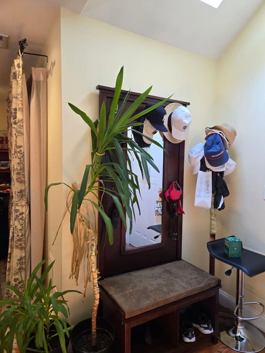 ALIXS TAG SALES IN ROSLYN HEIGHTS / EAST HILLS photo 3