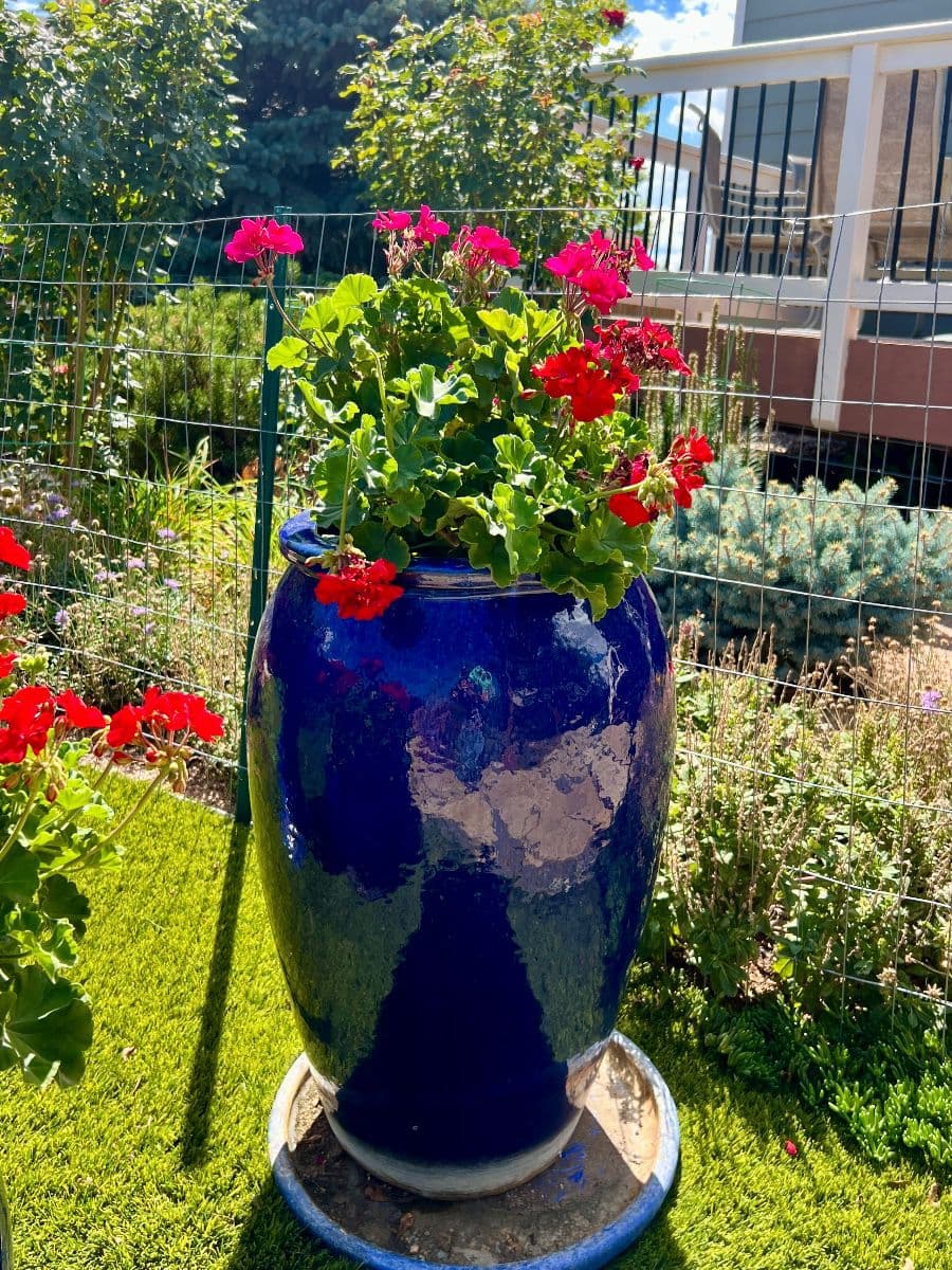 The Artful Gardner Estate Sale: Furniture, Art, Books & More photo 8