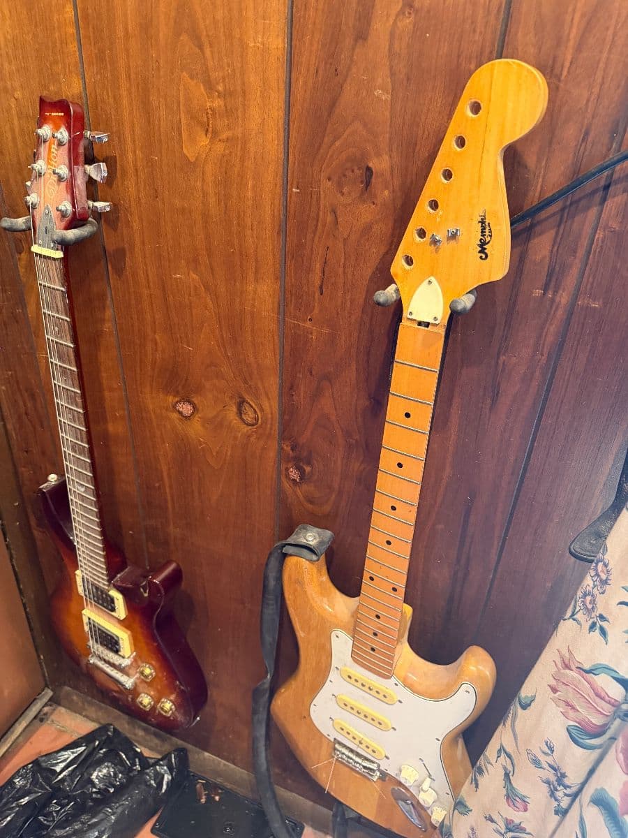 Incredible Memphis, time capsule Estate sale with guitars & halloween pre-sale party friday night photo 4