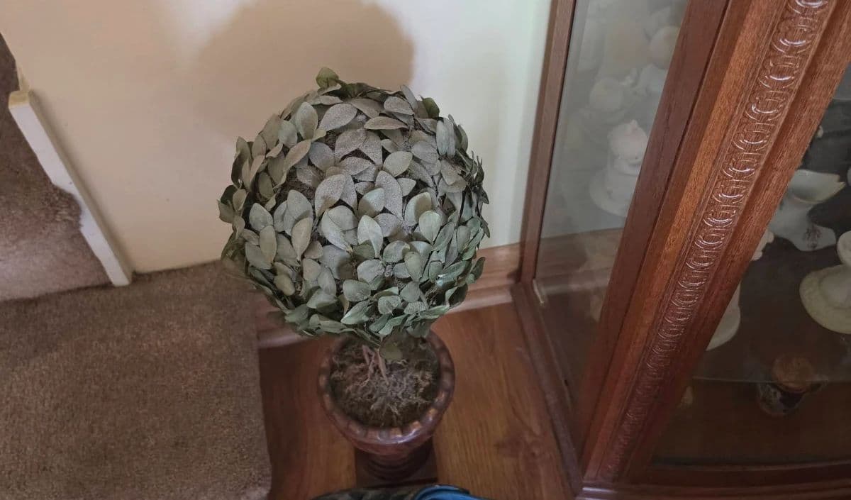 The Ultimate Bachelor Pad Lyons Estate Sale photo 9