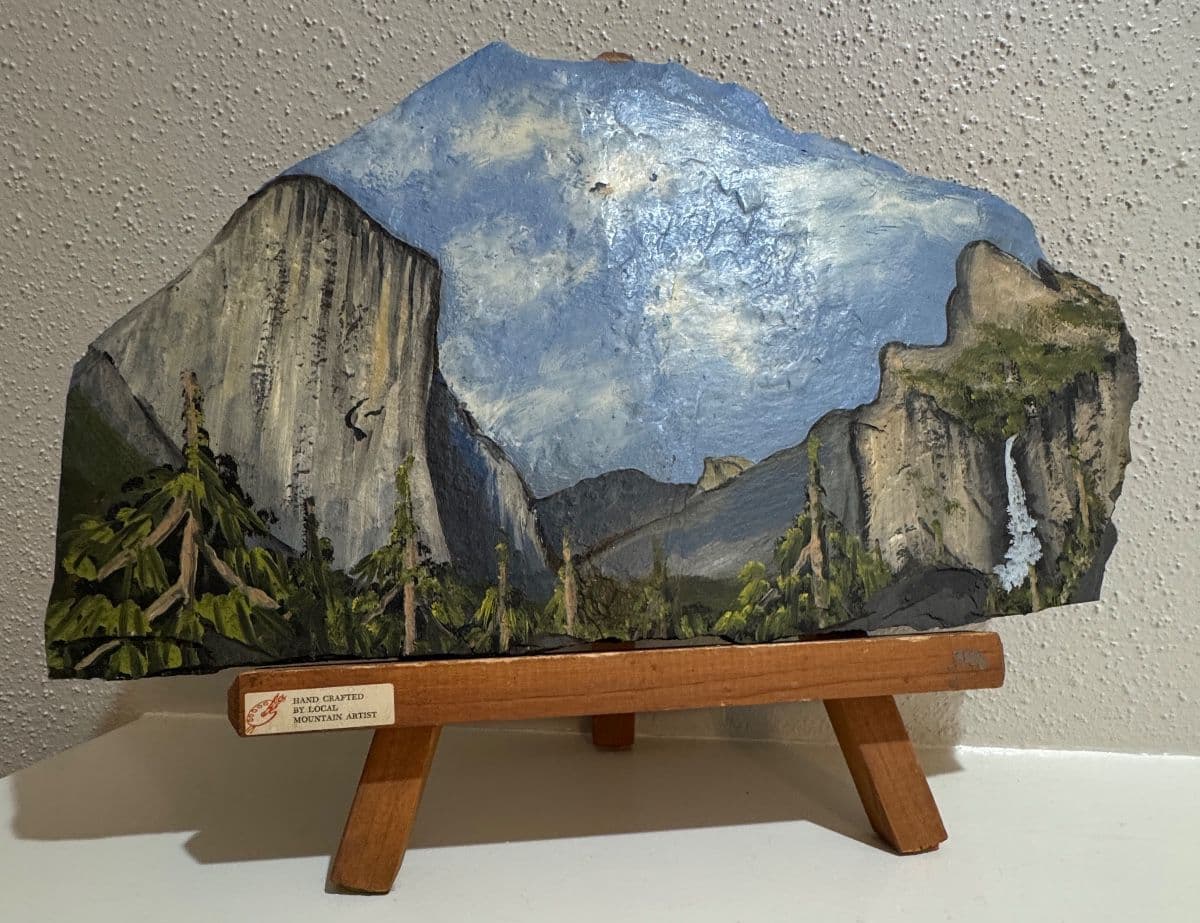Great Estate Sale near NASA photo 11
