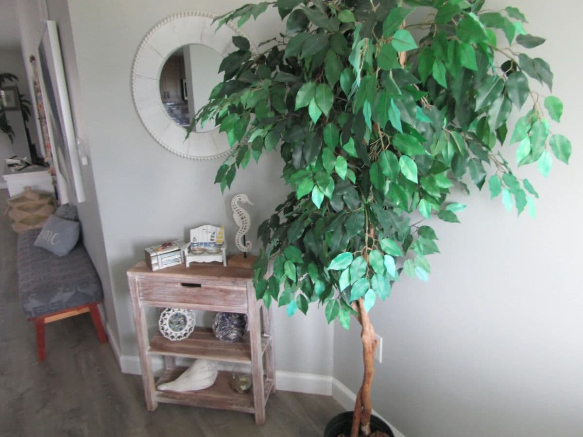 Clean, Cozy, Beachy Feel Home W/ Fun Contents photo 3