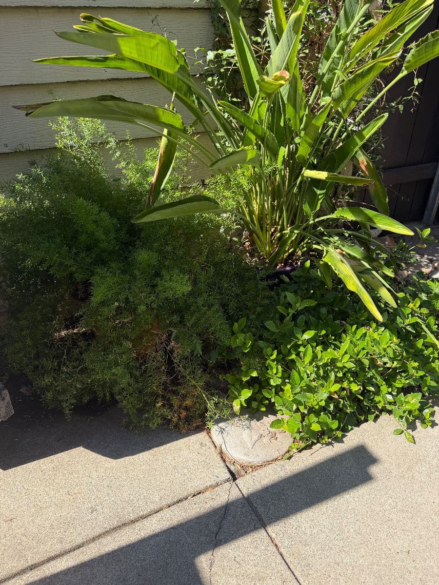 Eclectic Treasures Yuba City Estate Sale photo 5