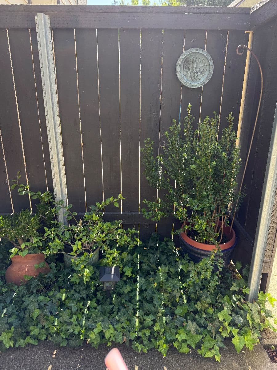 Eclectic Treasures Yuba City Estate Sale photo 2