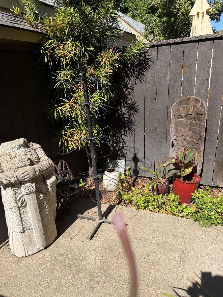 Eclectic Treasures Yuba City Estate Sale photo 4