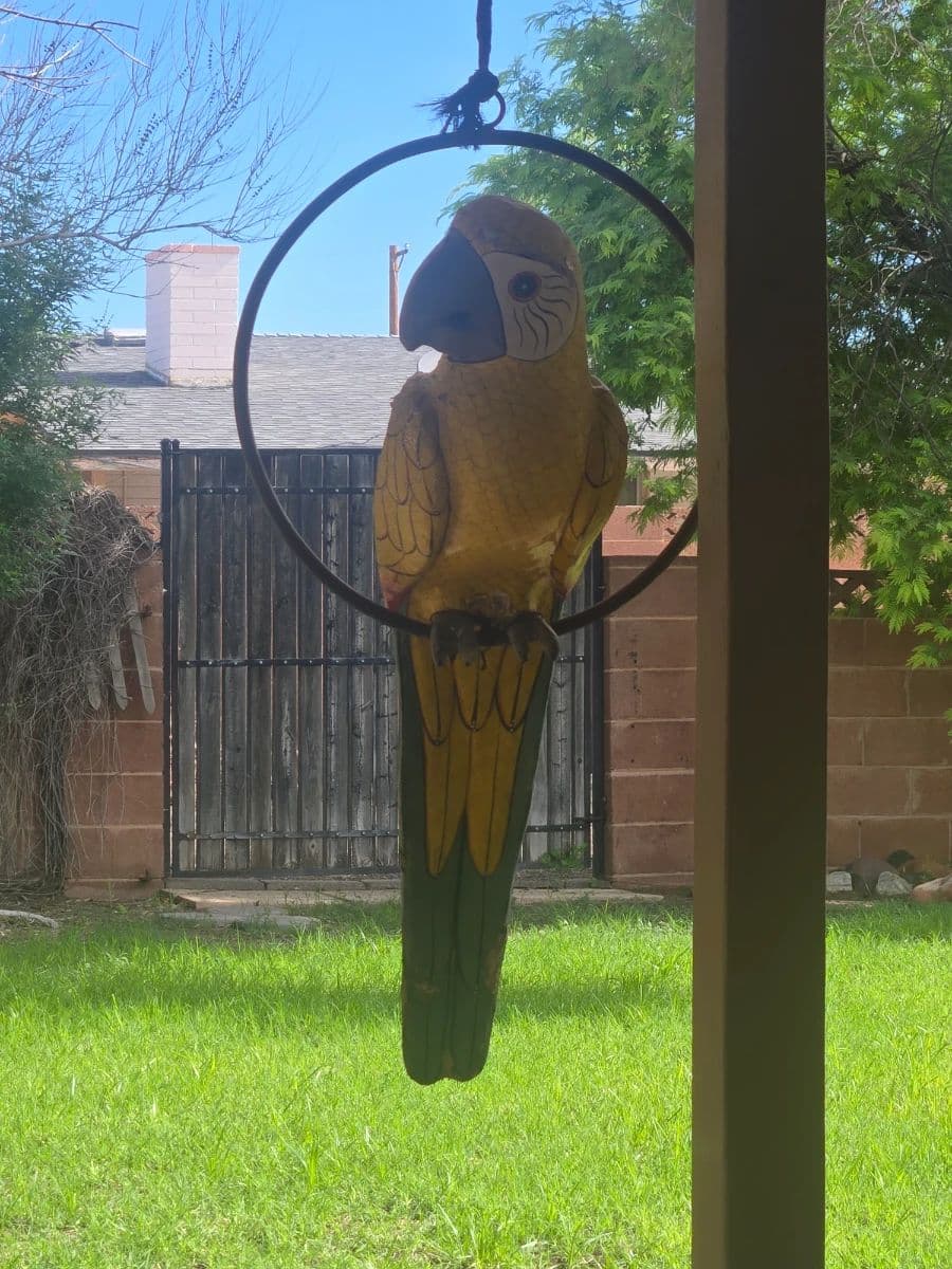 Tremendous Tempe Estate Sale Part 2 photo 4