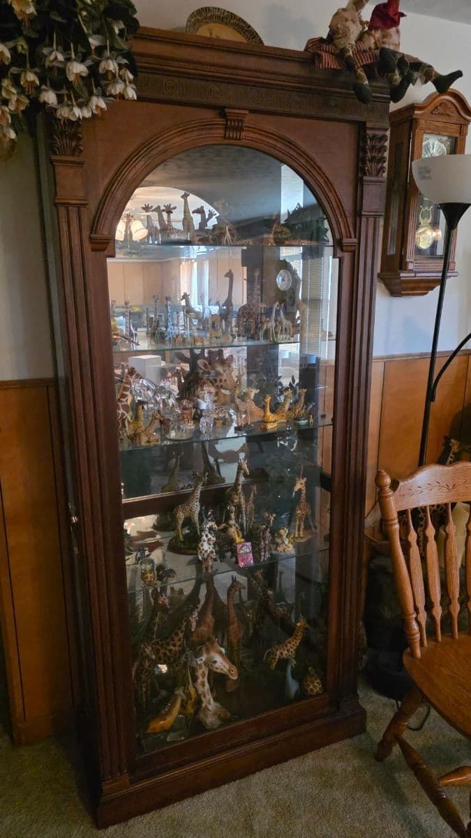 Giraffes, Crafting, Sewing, Tools, Puzzles, Collectibles, Comics, DVDs +Normal Household photo 12