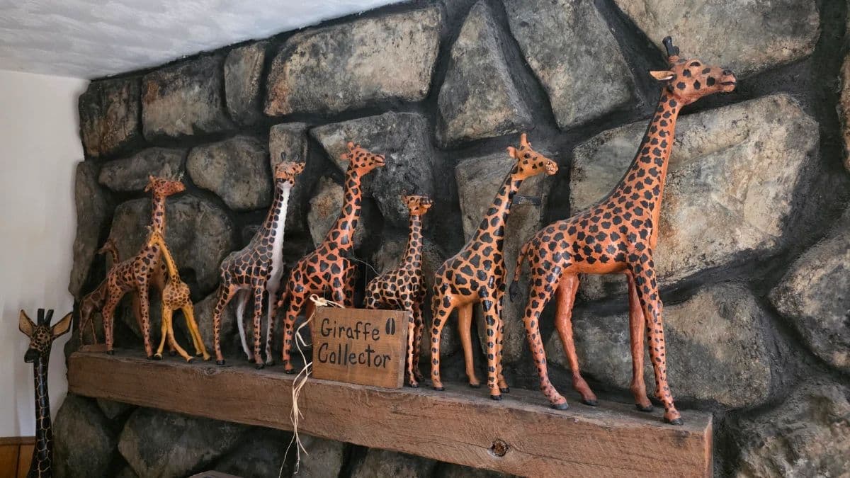 Giraffes, Crafting, Sewing, Tools, Puzzles, Collectibles, Comics, DVDs +Normal Household photo 11