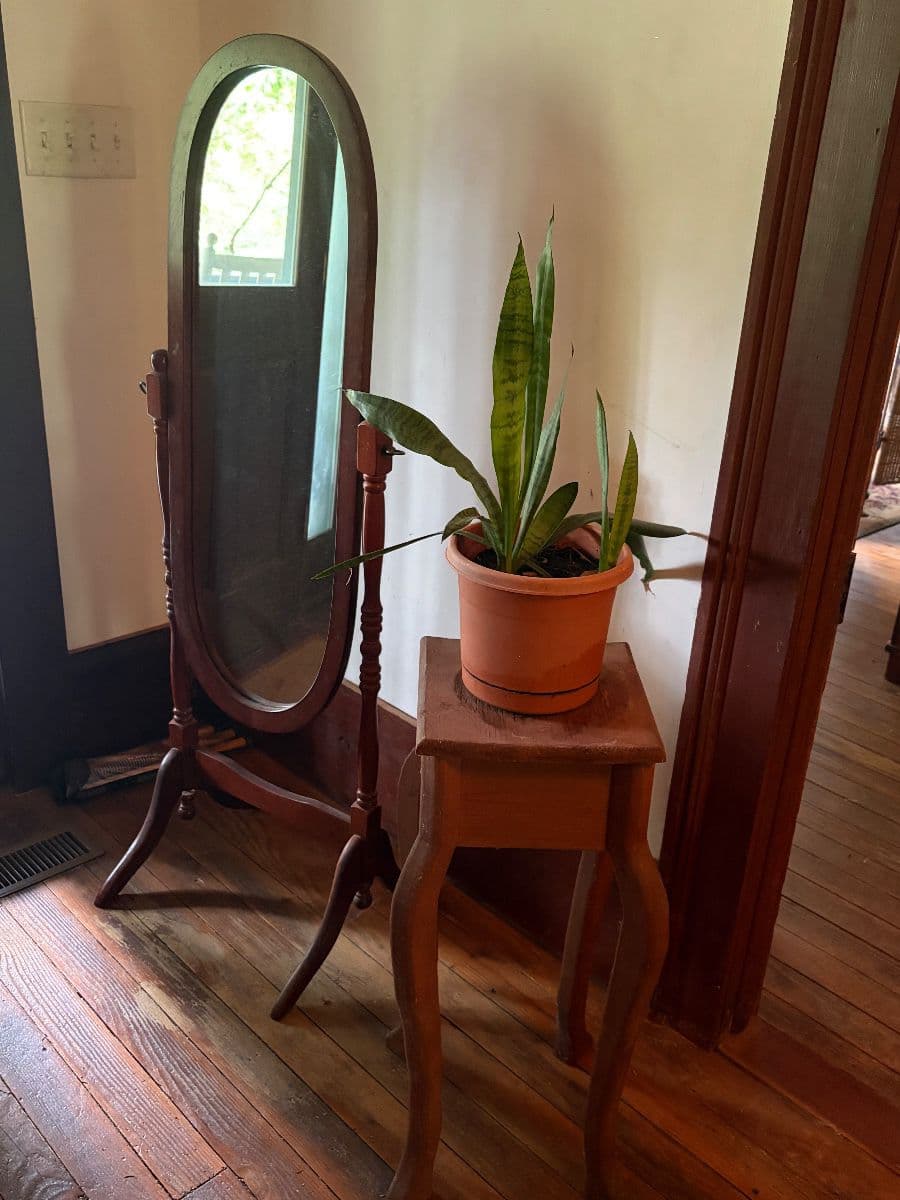 Eclectic Collector’s Sale in Bishop photo 9
