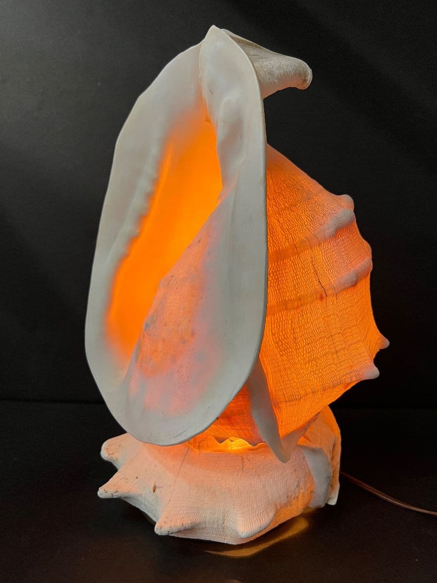 Pink Salvage Gallery Online Auction photo 6