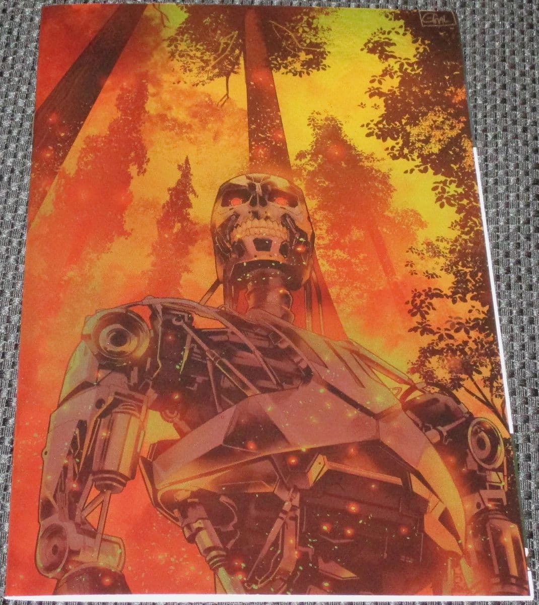 AMAZING COMIC BOOK AND TOY AUCTION photo 9