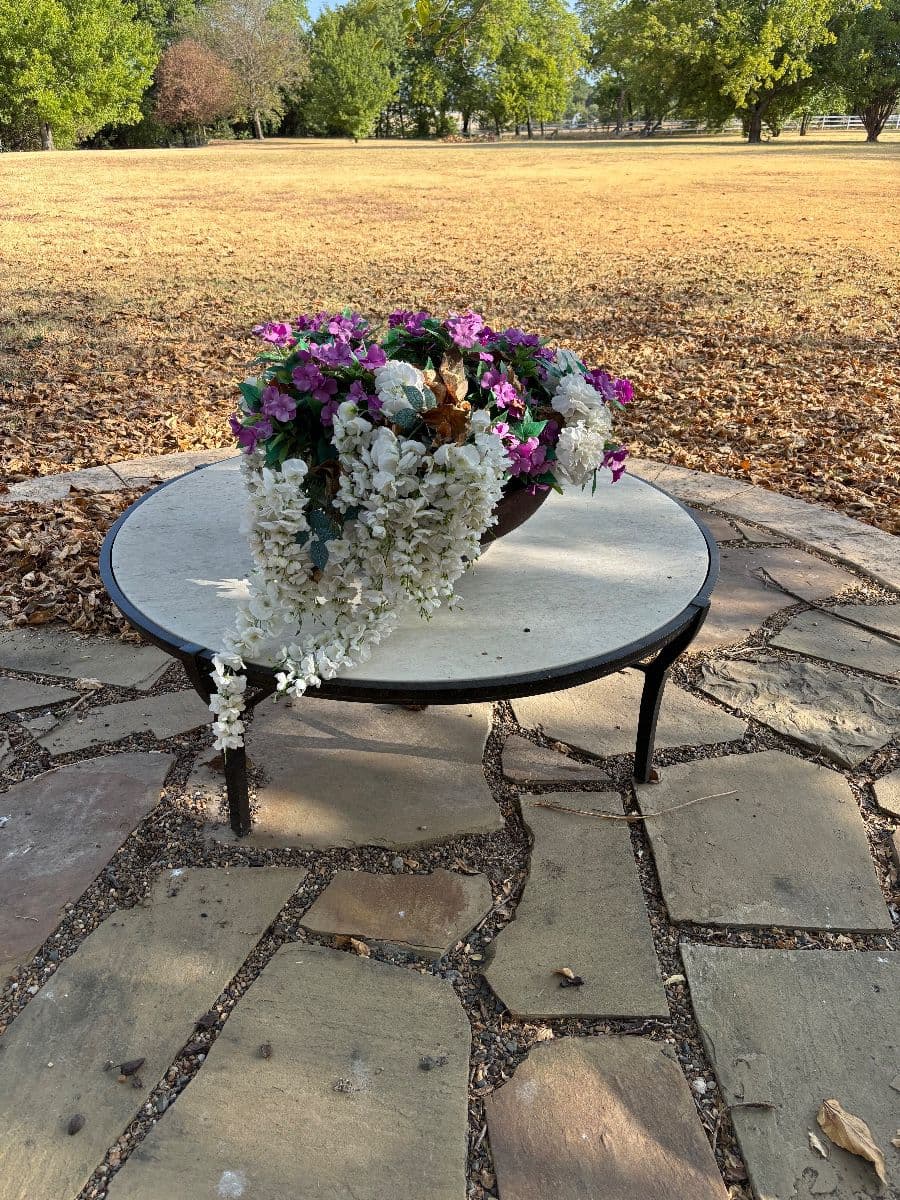 McKinney for Everyone photo 10
