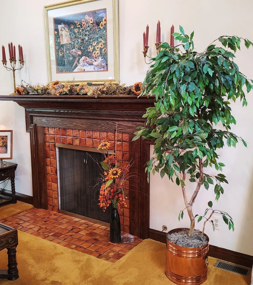 Wallinwood Springs~Mid-Century thru 1990's Nostalgia, Packed with Sweetness! photo 2