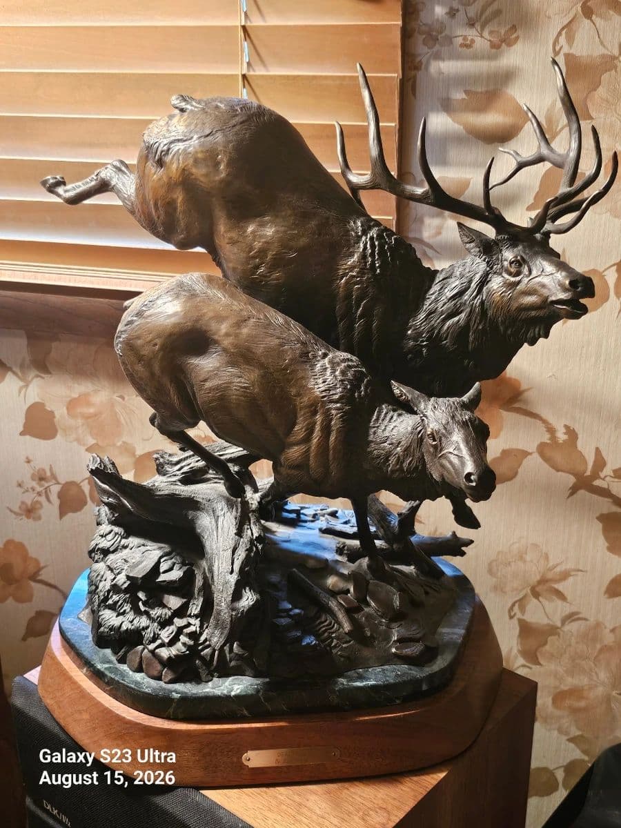 Don’s Auctions Solstad Family Auction Part 2 photo 7