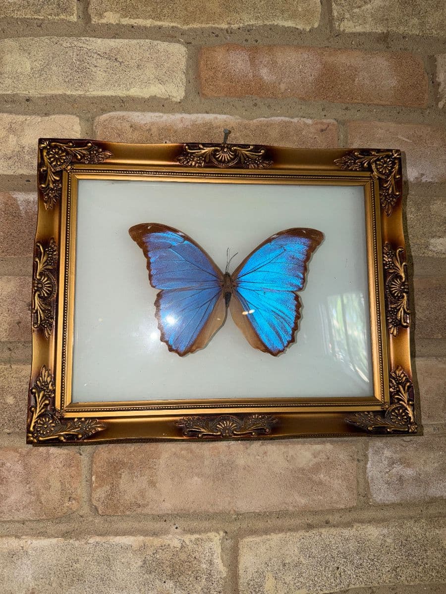 Terrific Time Capsule Duncanville Estate Sale photo 1