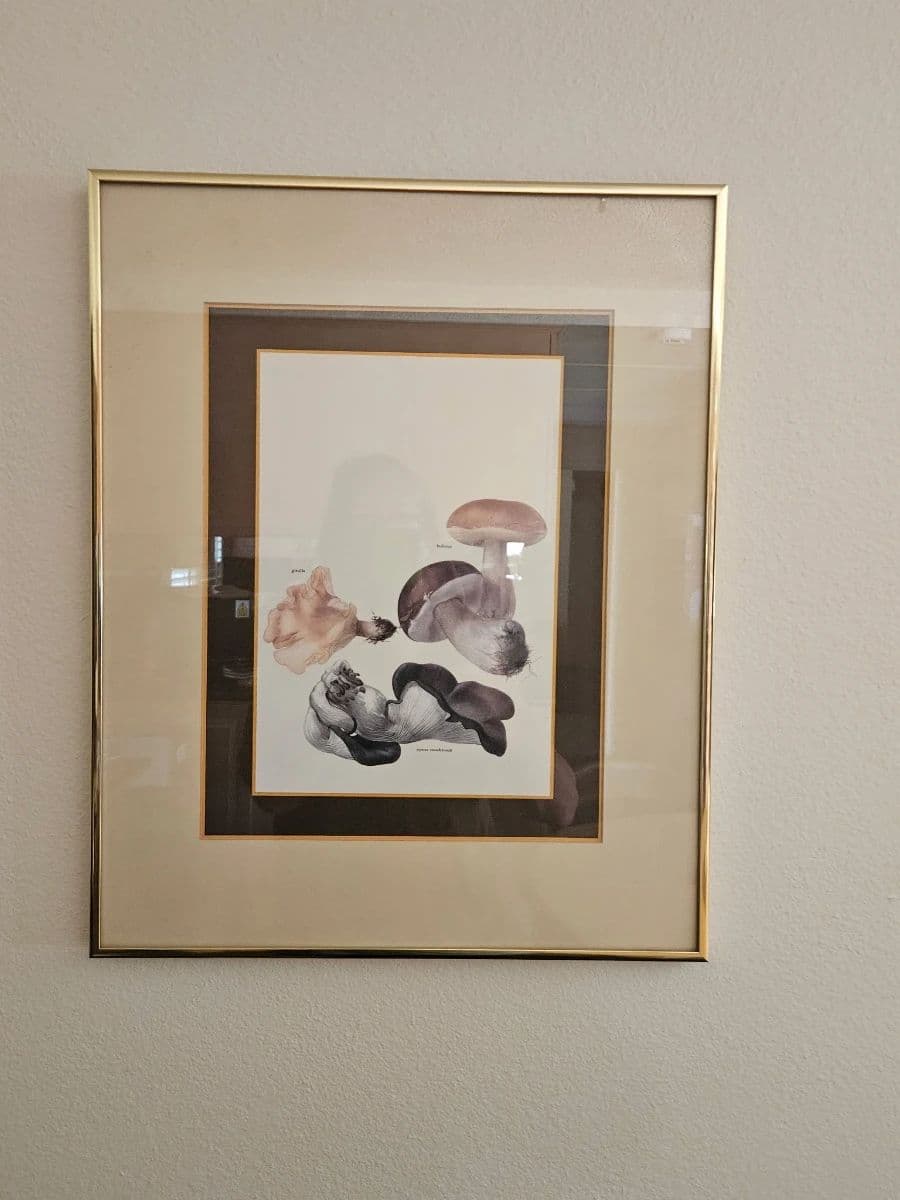 Estate sale in San Carlos photo 9