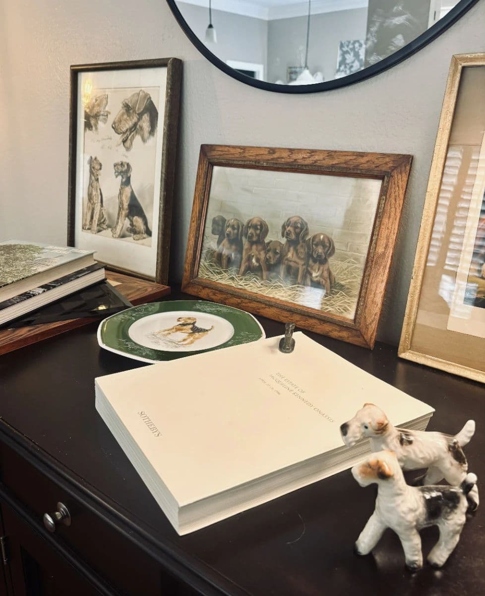 Round Rock Estate Sale – Home Finds, Patio Picks & Garage Scores photo 3
